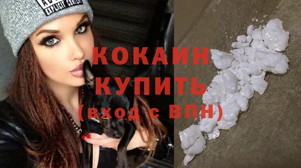 ПСИЛОЦИБИНОВЫЕ ГРИБЫ Дмитров