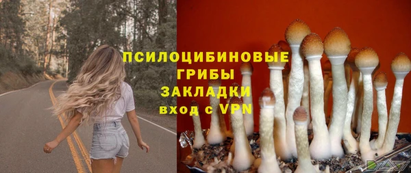ПСИЛОЦИБИНОВЫЕ ГРИБЫ Дмитров