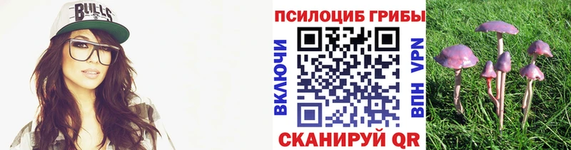 Галлюциногенные грибы Magic Shrooms  где найти   Серпухов 